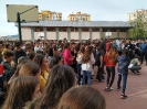 Violencia de Género_1